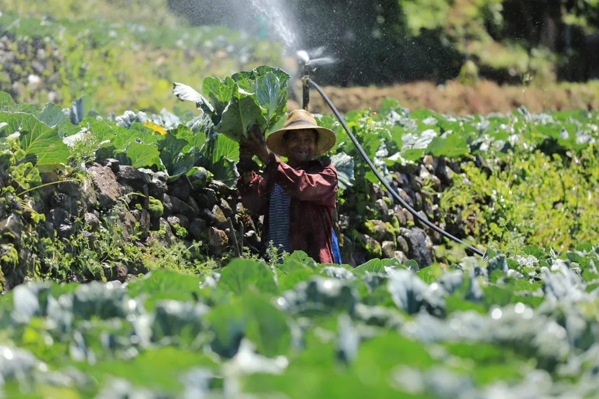 Agricultor trabajando en su campo